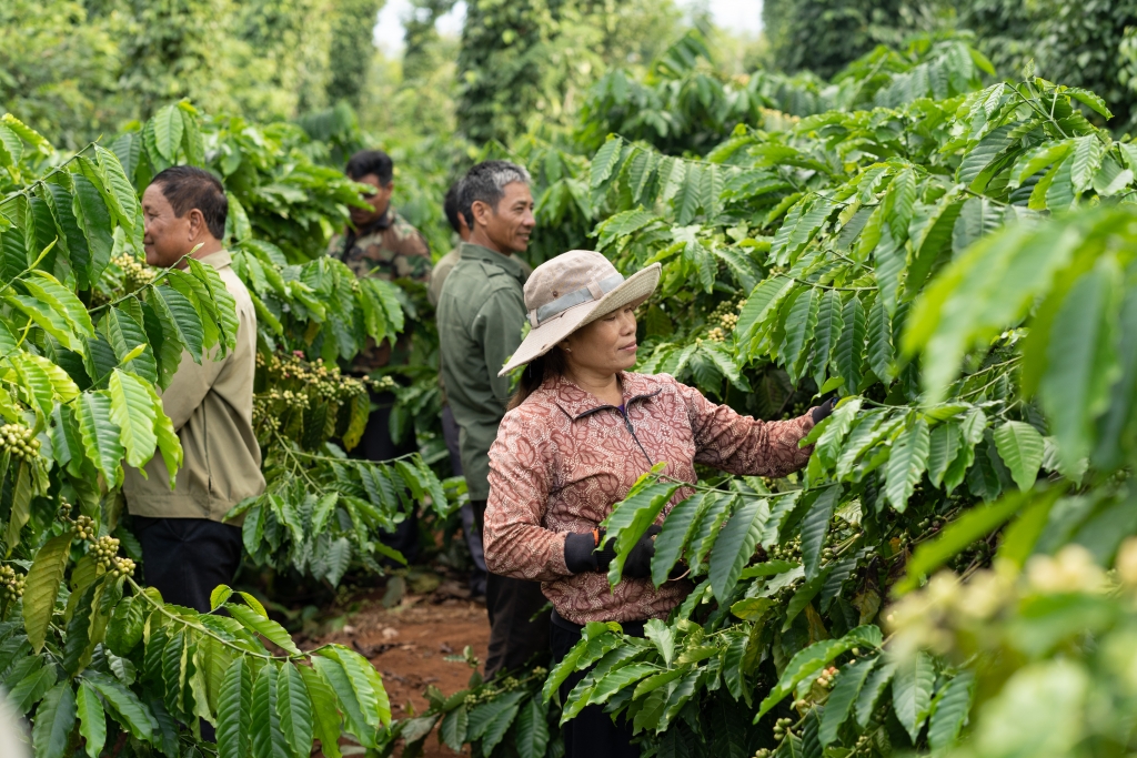 Nestlé Việt Nam dẫn đầu Top 100 Doanh Nghiệp Bền Vững trong 3 năm liên tiếp Nestlé Việt Nam dẫn đầu Top 100 Doanh Nghiệp Bền Vững trong 3 năm liên tiếp