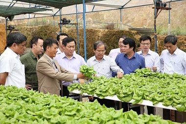 Luật Hợp tác xã (sửa đổi) – Đòn bẩy phát triển kinh tế hợp tác