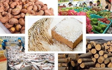 Năm 2023, sản xuất nông, lâm nghiệp và thủy sản tiếp tục là trụ đỡ vững chắc của nền kinh tế