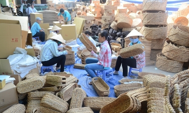 Đến năm 2030 có khoảng 45.000 hợp tác xã với 8 triệu thành viên