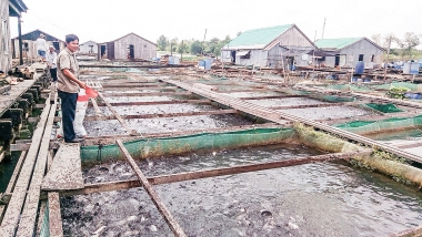 Tháng 1/2023, sản lượng thủy sản khai thác giảm do ngư dân không ra khơi