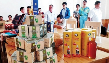 Ban hành Bộ tiêu chí và quy trình đánh giá, phân hạng sản phẩm OCOP