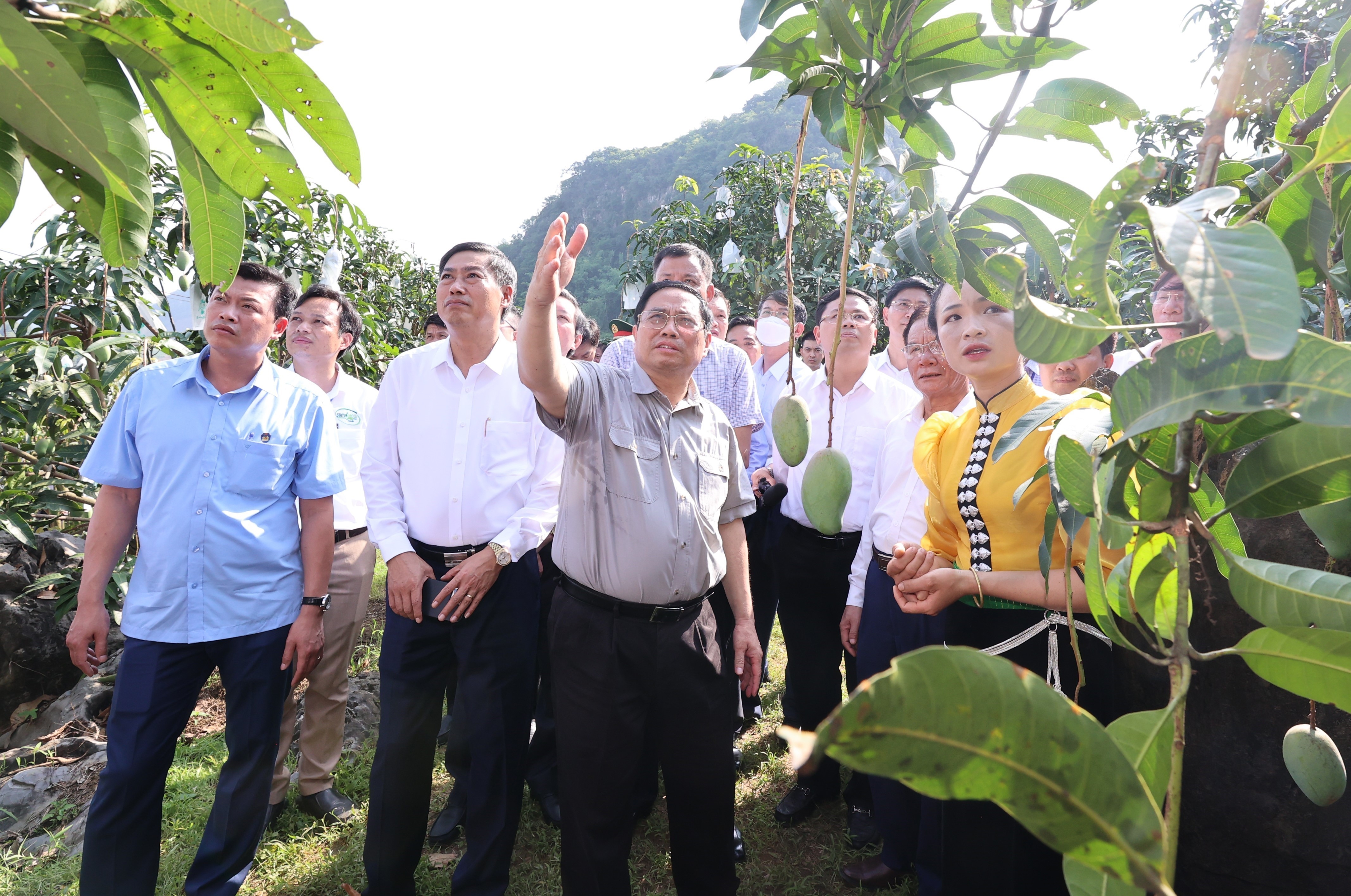 Phát triển kinh tế tập thể, hợp tác xã: Kỳ vọng từ Luật Hợp tác xã năm 2023
