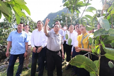 Phát triển kinh tế tập thể, hợp tác xã: Kỳ vọng từ Luật Hợp tác xã năm 2023