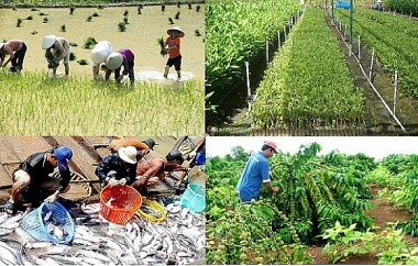 Quý I/2022, Covid-19 ảnh hưởng lớn đến sản xuất và tiêu thụ nông sản