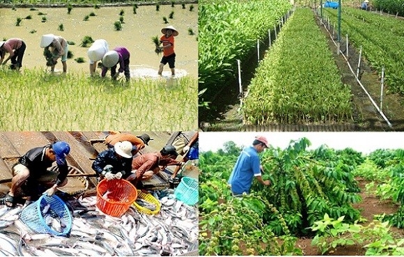 Quý I/2022, sản xuất nông nghiệp diễn ra trong điều kiện thời tiết tương đối thuận lợi Quý I/2022, Covid-19 ảnh hưởng lớn đến sản xuất và tiêu thụ nông sản