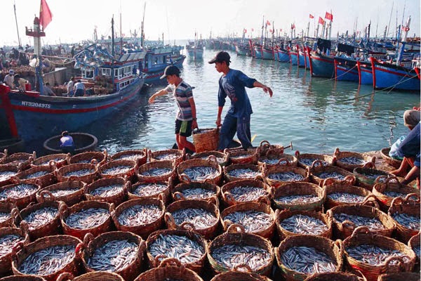 Chăn nuôi phát triển ổn định, hoạt động nuôi trồng và khai thác thủy sản đạt kết quả khả quan Chăn nuôi phát triển ổn định, hoạt động nuôi trồng và khai thác thủy sản đạt kết quả khả quan