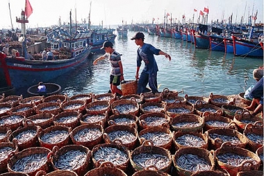 Chăn nuôi phát triển ổn định, hoạt động nuôi trồng và khai thác thủy sản đạt kết quả khả quan
