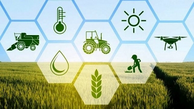 Phát triển nông thôn toàn diện với kết cấu hạ tầng kinh tế - xã hội đồng bộ, hiện đại
