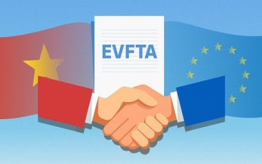 Kinh nghiệm quốc tế trong quản lý nhà nước đối với việc tham gia các FTA thế hệ mới và bài học kinh nghiệm cho Việt Nam