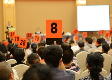 Tổ chức tham gia đấu giá quyền sử dụng đất cần những điều kiện gì?