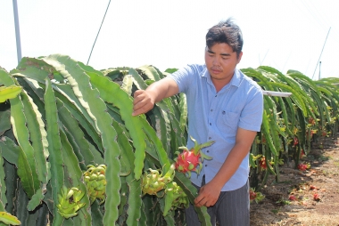 Cắt giảm mạnh thủ tục hành chính không thật cần thiết, tạo môi trường thuận lợi thúc đẩy phát triển doanh nghiệp trong nông nghiệp