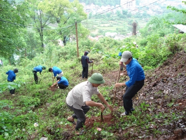 Chính phủ hướng dẫn thí điểm việc chuyển mục đích sử dụng rừng sang mục đích khác