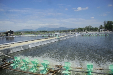 Tháng 5/2023: Nuôi trồng thủy sản đạt kết quả tích cực