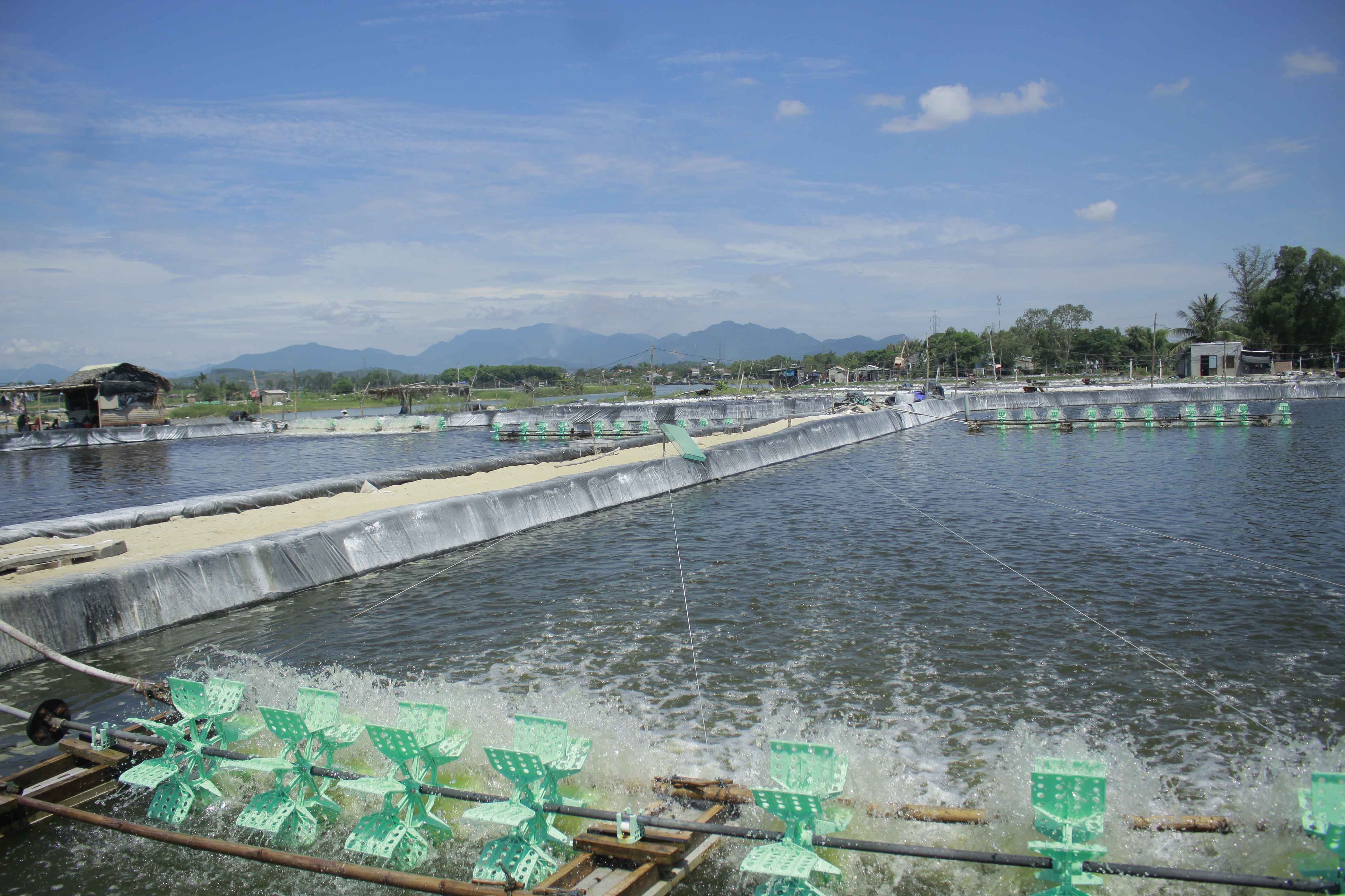 Tháng 5/2023: Nuôi trồng thủy sản đạt kết quả tích cực