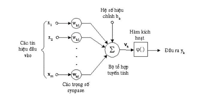 Bức tranh lao động việc làm của Việt Nam: Thực trạng và giải pháp