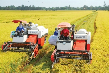Phát triển nông nghiệp, nông thôn ĐBSCL theo hướng "nông nghiệp sinh thái, nông thôn hiện đại, nông dân văn minh"