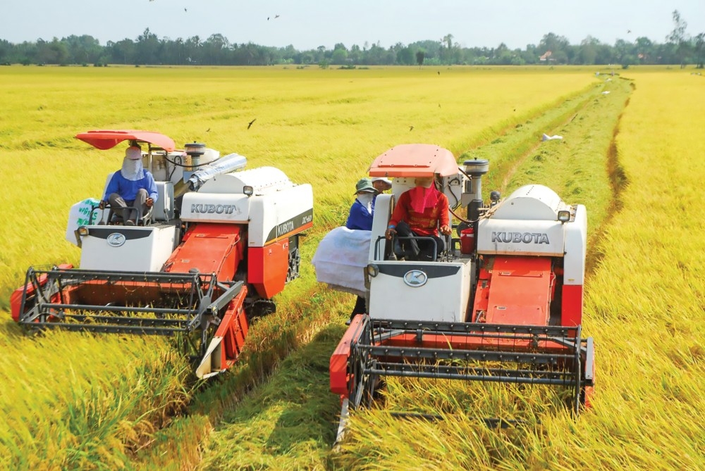 Phát triển nông nghiệp, nông thôn ĐBSCL theo hướng  Phát triển nông nghiệp, nông thôn ĐBSCL theo hướng