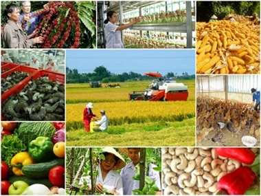 Ban hành chỉ thỉ về đẩy mạnh chuyển đổi số trong khu vực kinh tế hợp tác, hợp tác xã