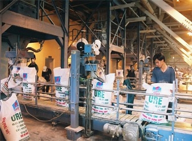 Sản xuất phân bón không có quyết định công nhận phân bón lưu hành bị phạt tới 100 triệu đồng
