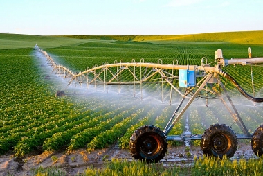 Phát triển nông nghiệp công nghệ cao trên địa bàn tỉnh Nghệ An
