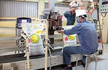 Ngành chăn nuôi gặp thách thức kép