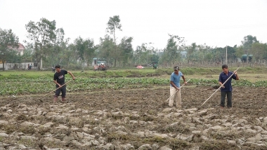 Đề xuất hỗ trợ người nghèo phát triển sản xuất nông nghiệp