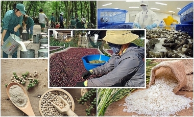 Sản xuất nông, lâm nghiệp và thủy sản quý II và 6 tháng đầu năm 2023 phát triển ổn định