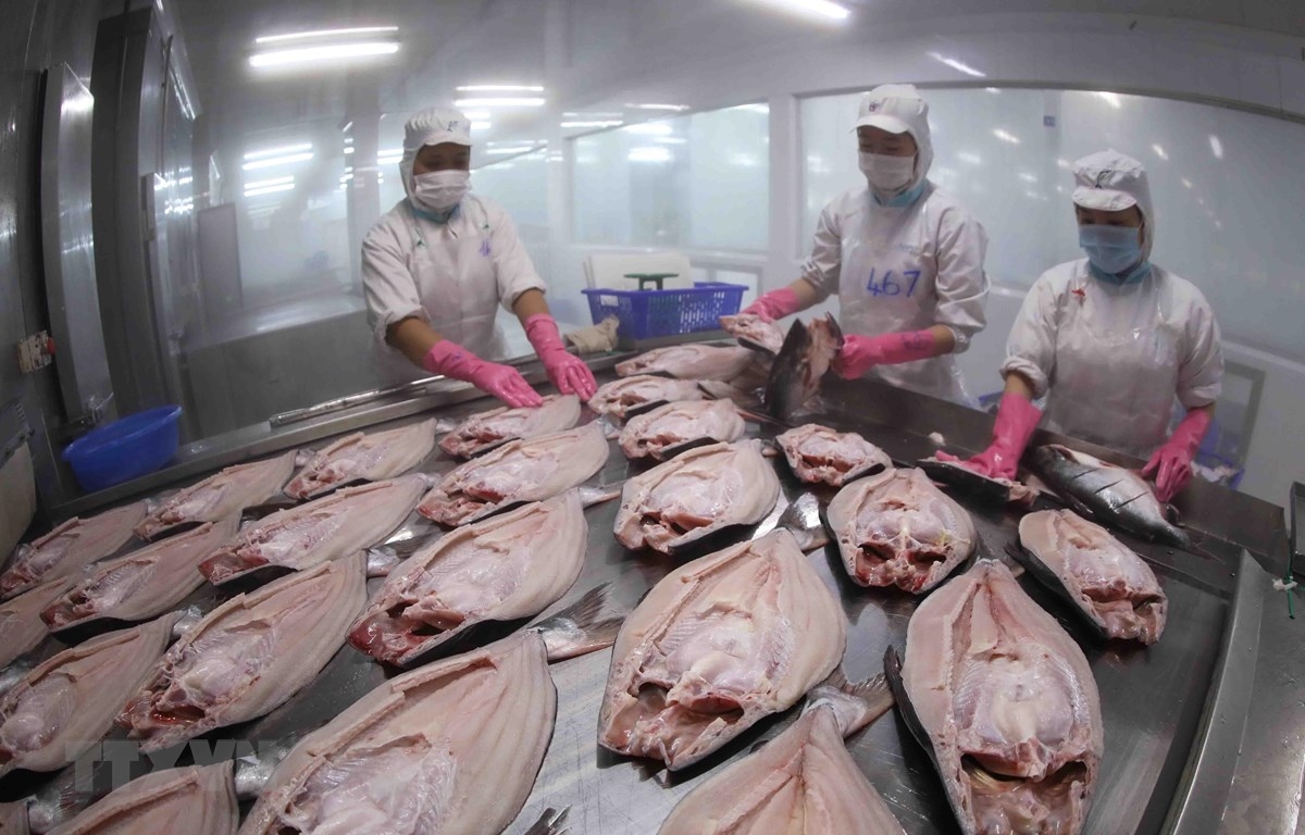 Phó Thủ tướng yêu cầu xem xét kiến nghị của VASEP về gỡ khó cho doanh nghiệp thủy sản