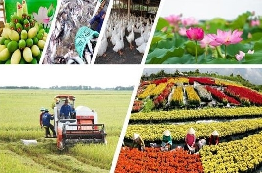 Phân tích các nhân tố ảnh hưởng đến thu nhập hộ gia đình ở các xã nông thôn mới tỉnh Đồng Tháp