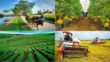 Ban hành Quy chế hoạt động của Ban chỉ đạo tổng kết 20 năm phát triển kinh tế tập thể