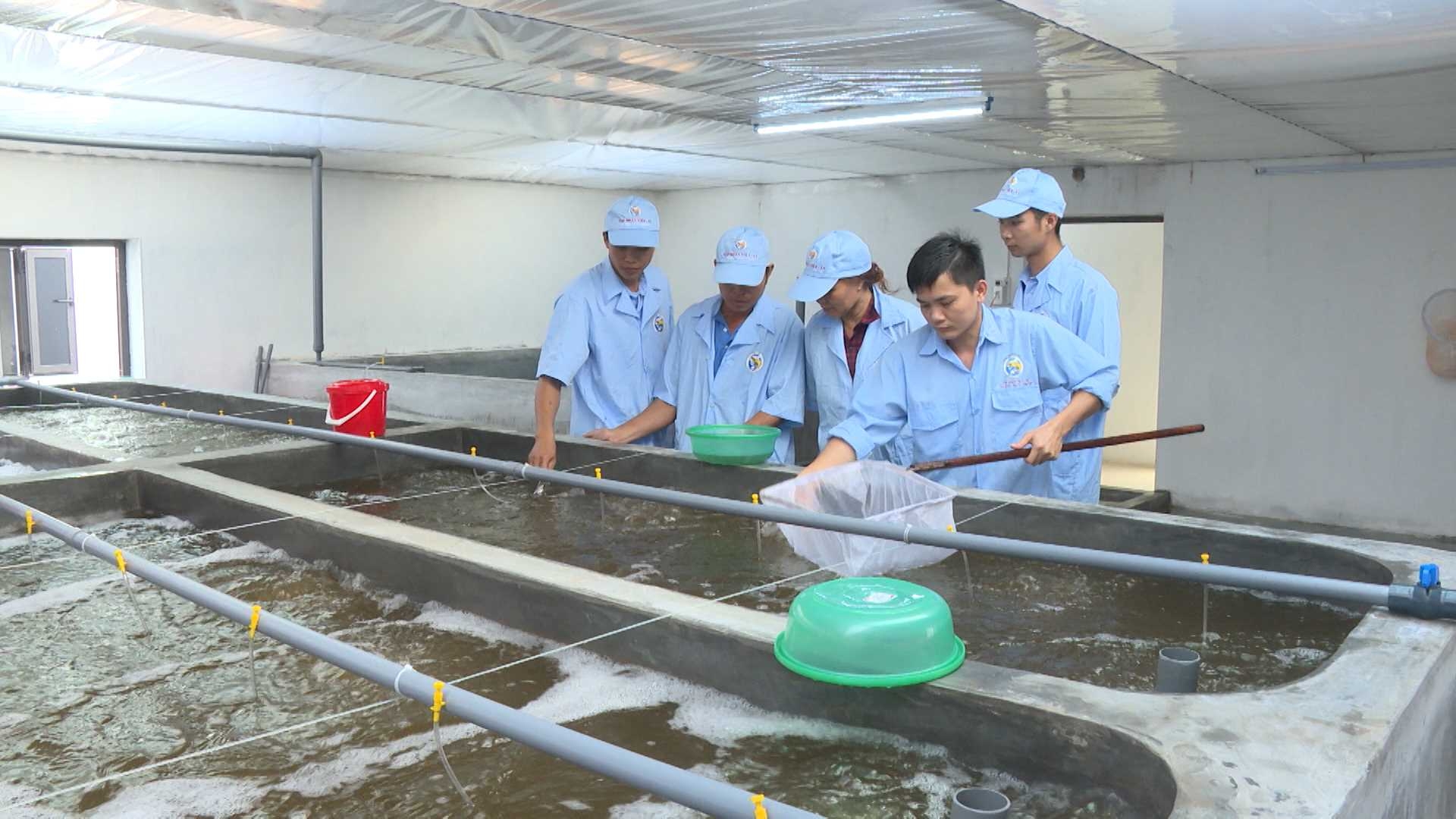 Ngân sách nhà nước hỗ trợ 6 hoạt động phát triển sản xuất giống Ngân sách nhà nước hỗ trợ 6 hoạt động phát triển sản xuất giống