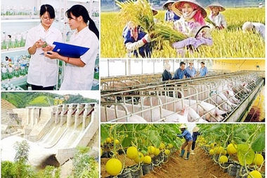 Định hình nền tảng pháp lý mới cho các chương trình mục tiêu quốc gia