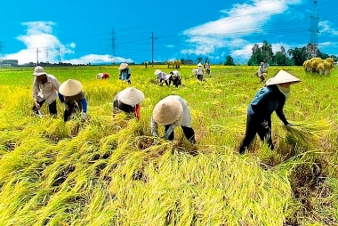 Chăn nuôi phát triển ổn định, khai thác thủy sản biển gặp nhiều khó khăn