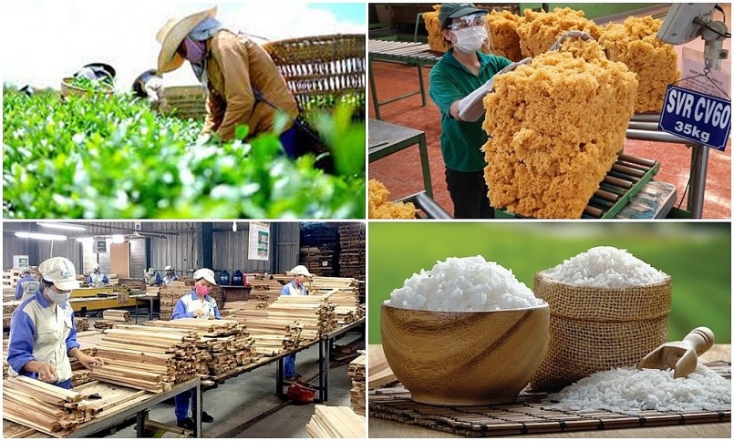 Tháng 7/2023, kim ngạch xuất khẩu nông, lâm, thủy sản đạt 4,62 tỷ USD Tháng 7/2023, kim ngạch xuất khẩu nông, lâm, thủy sản đạt 4,62 tỷ USD