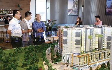 Báo cáo Thủ tướng Chính phủ về thành lập các sàn giao dịch việc làm, bất động sản trước ngày 8/9/2023