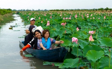 Phát triển bền vững du lịch nông nghiệp Đồng bằng sông Cửu Long