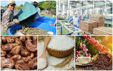 Tháng 8/2022, xuất khẩu nông, lâm, thủy sản tăng 32% so với cùng kỳ năm 2021