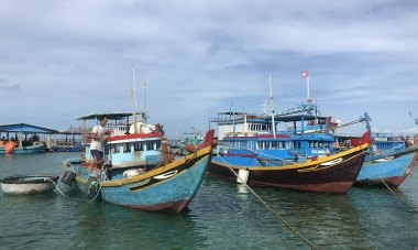 Phê duyệt Đề án Phòng, chống khai thác hải sản bất hợp pháp...