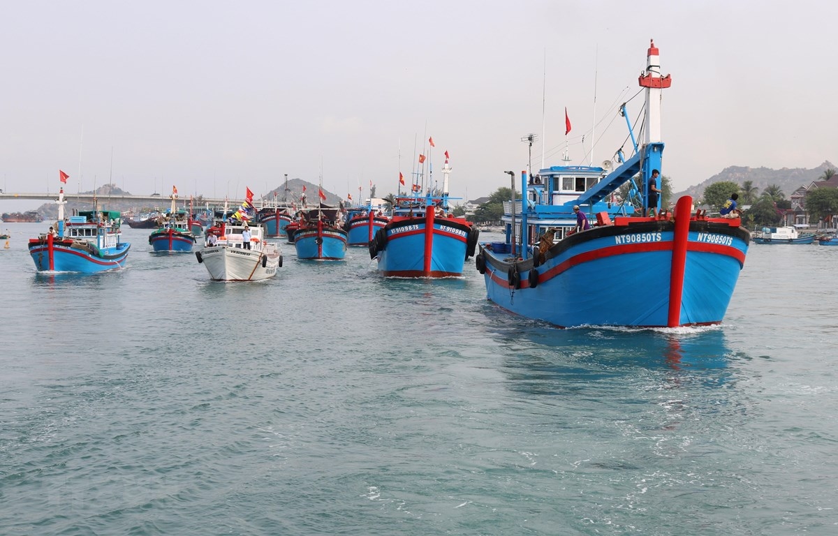 Tăng cường kiểm soát, xử lý nghiêm đối với các tàu cá “3 không” Tăng cường kiểm soát, xử lý nghiêm đối với các tàu cá “3 không”