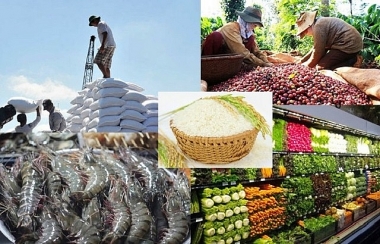 Tháng 8/2023, chăn nuôi phát triển ổn định, sản lượng nuôi trồng thủy sản tăng khá