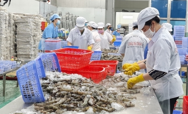 Nông, lâm, thủy sản 8 tháng đầu năm 2023 xuất siêu 6,72 tỷ USD