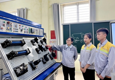 Thực trạng phát triển nguồn nhân lực giảng viên và kết quả hoạt động các trường cao đẳng tại Việt Nam