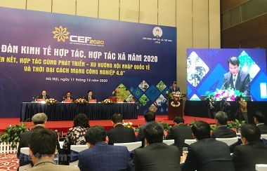 Chuyển thời gian tổ chức Diễn đàn Kinh tế hợp tác, hợp tác xã sang năm 2022