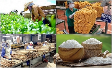 Tháng 11/2022, sản xuất nông, lâm nghiệp và thủy sản duy trì ổn định