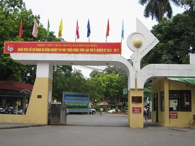 Phê duyệt chức năng, nhiệm vụ, quyền hạn và cơ cấu tổ chức của Bộ Nông nghiệp và Phát triển nông thôn