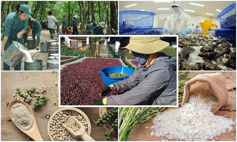 Năm 2022, sản xuất nông, lâm nghiệp và thủy sản giữ vững vai trò trụ đỡ của nền kinh tế Năm 2022, sản xuất nông, lâm nghiệp và thủy sản giữ vững vai trò trụ đỡ của nền kinh tế