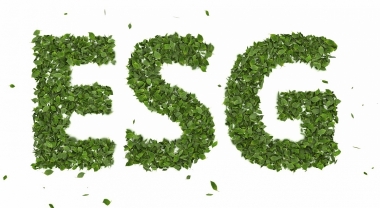 Bối cảnh và một số giải pháp nhằm nâng cao việc thực hiện ESG tại các doanh nghiệp Việt Nam