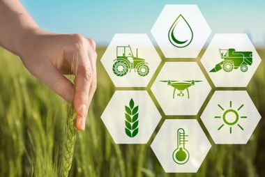 Tác động của công nghệ số đối với phát triển kinh tế ở khu vực nông thôn Việt Nam