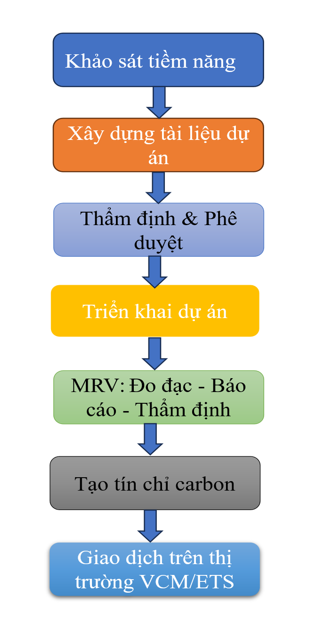 Thực trạng thị trường tín chỉ carbon vùng Trung du và miền núi phía Bắc(*)